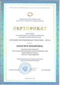 2013 г. - сертификат участника регионального заочного конкурса методических материалов "Лучшие инклюзивные практики - 2013"